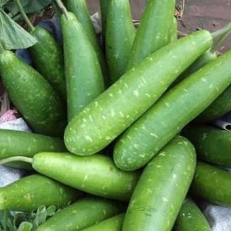 lau-bottle-gourd-lau (bottle gourd)