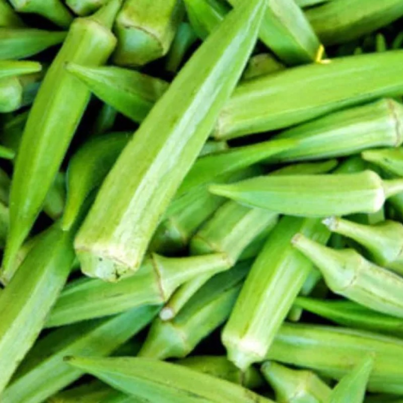 dherosh-lady-finger-dherosh3051