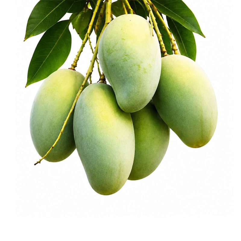 Lengra Aam (Mango)