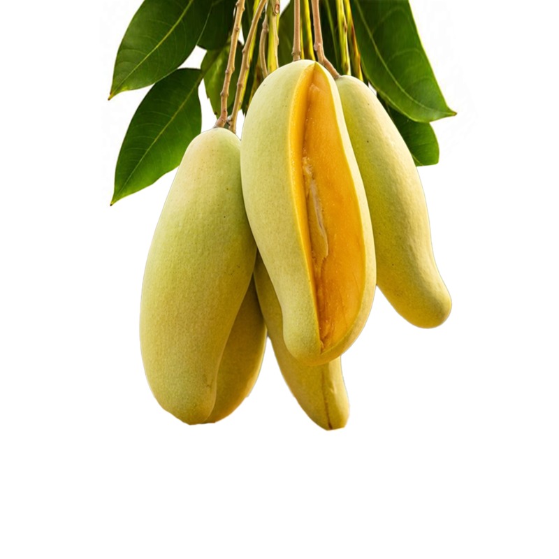 Banana Aam (Mango)