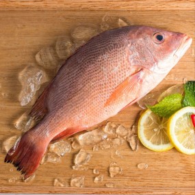 Red Snaper Fish