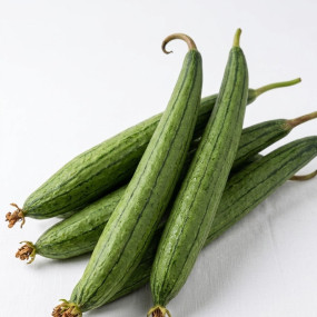 Dundul