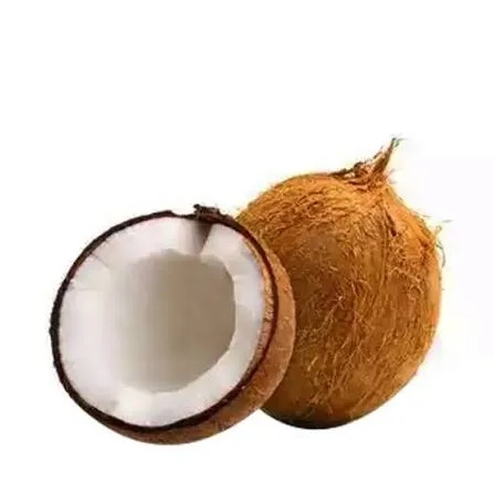 Coconut (Narikel) 1pc