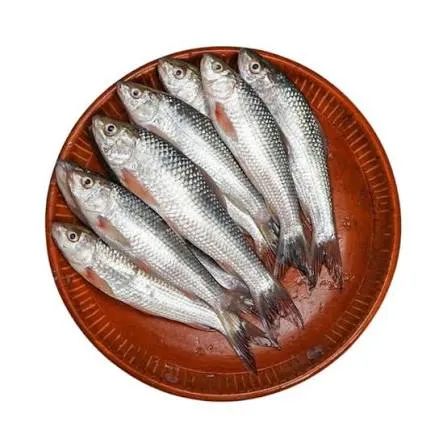 Bata Fish 1kg