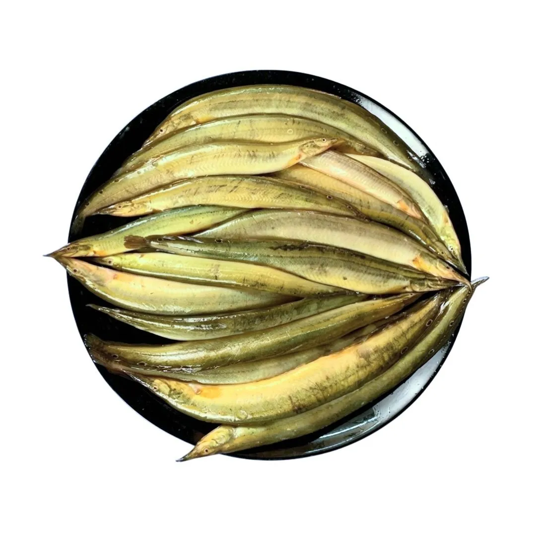 Tera Baim Fish 1kg