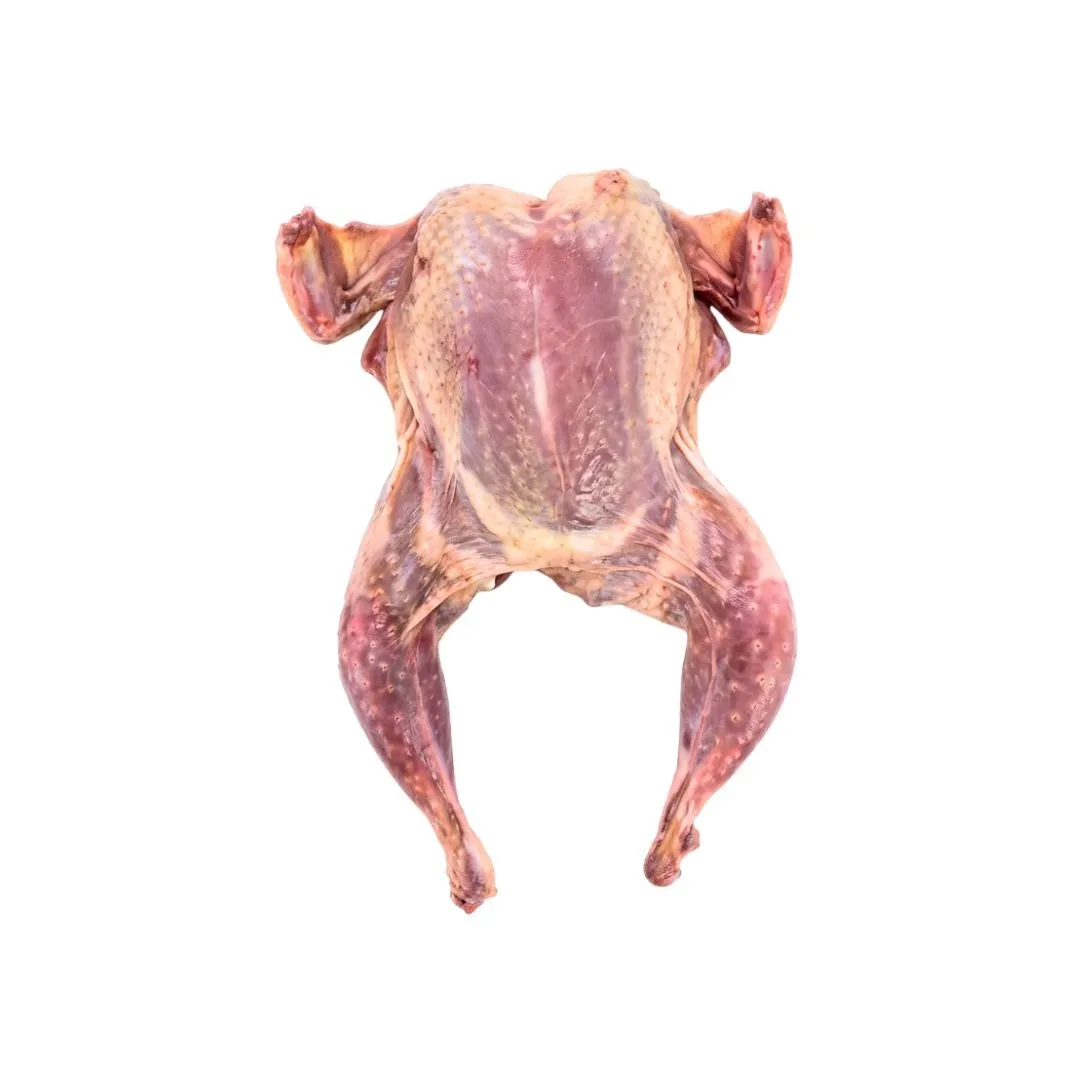 Quail Meat 1pc