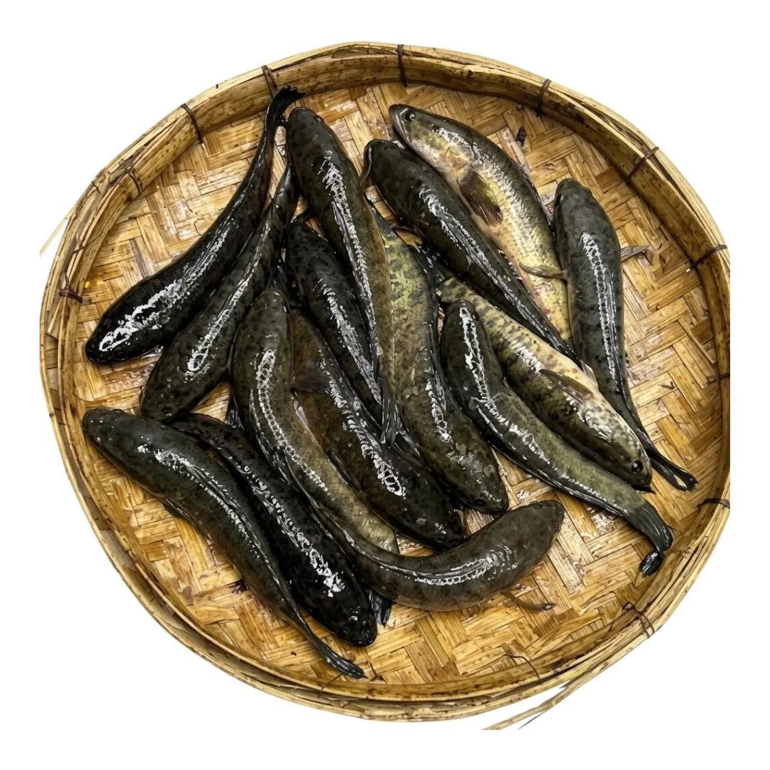 Taki Fish Local 1kg