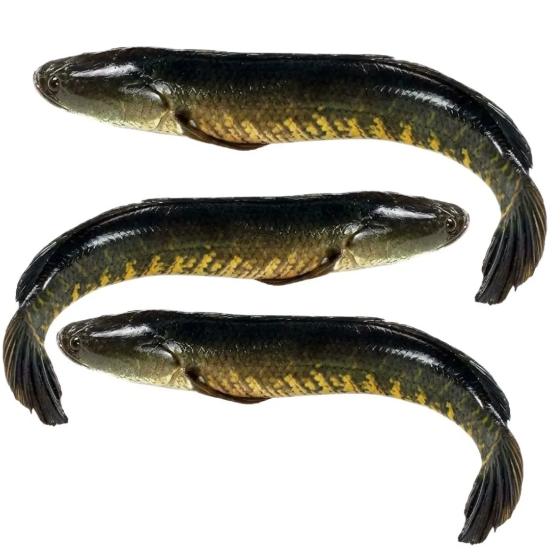 Shol Fish 1kg