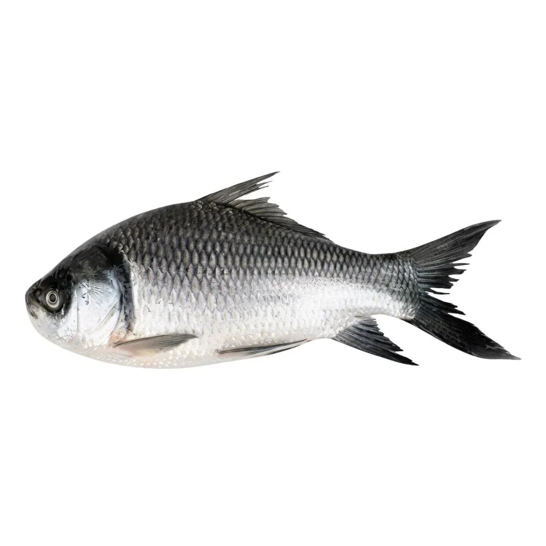 Katol Fish 2kg+