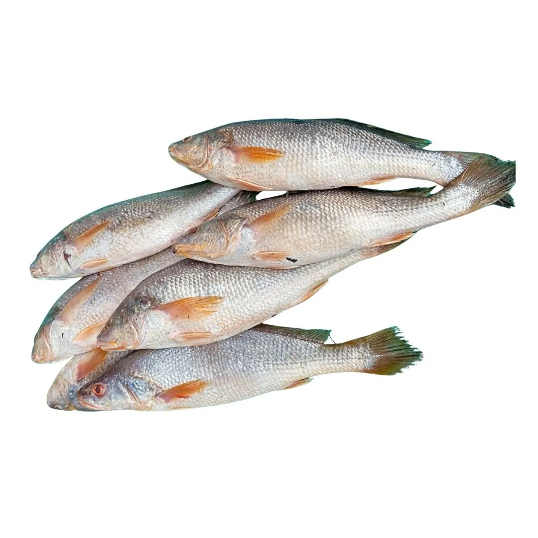 Deshi Poa Fish 1kg