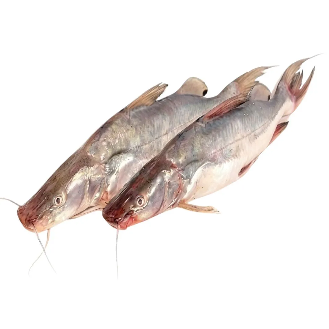 Ayer Fish 1kg+