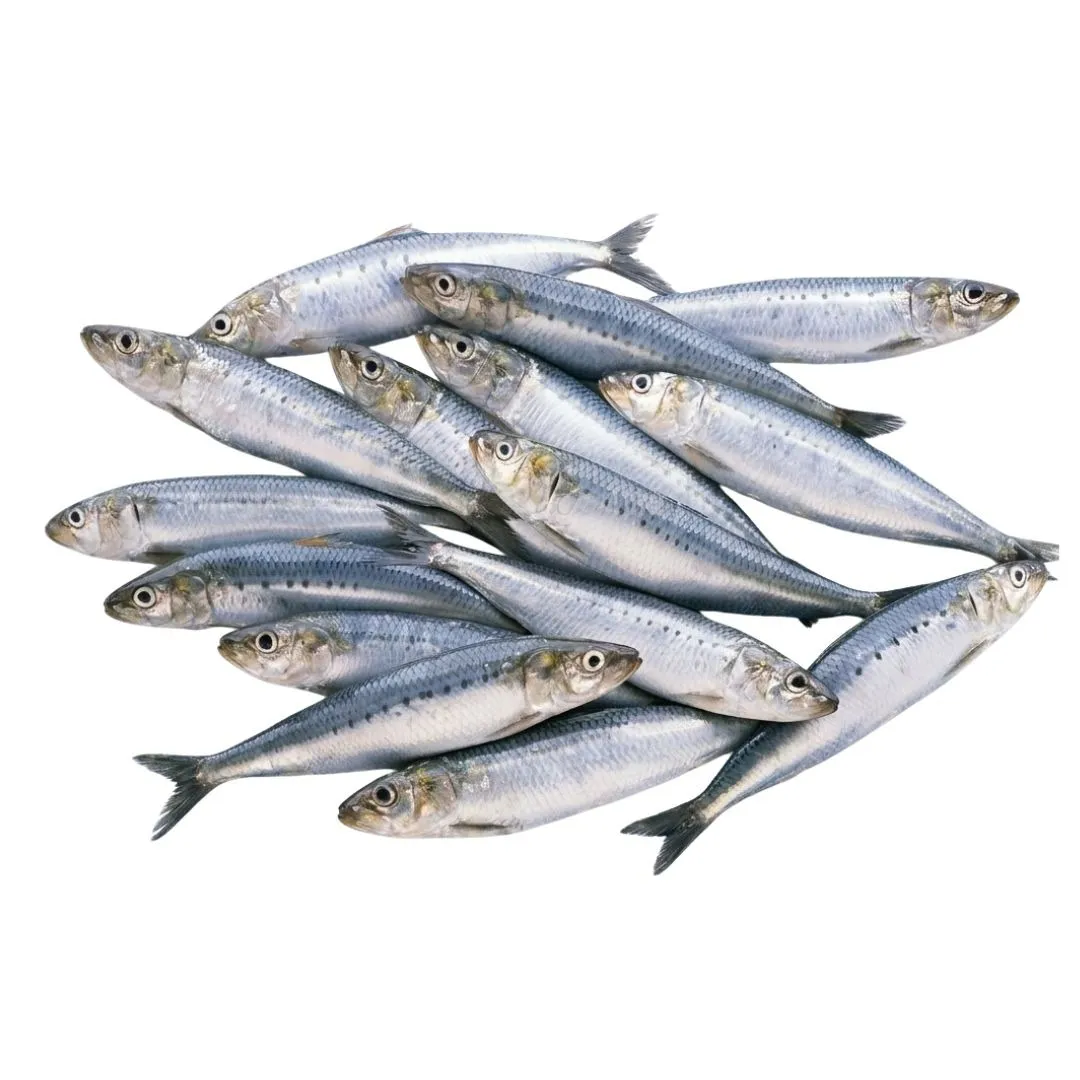 Sea Sardine (Chapila) Fish 1kg