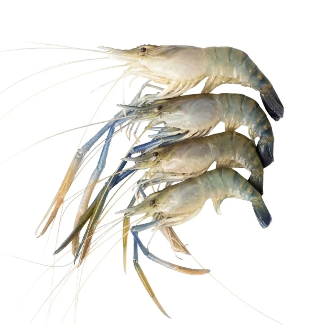 Golda Chingri (Shrimp) Medium 31-45pcs 1kg