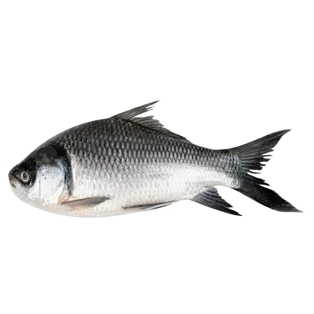 Katal Fish 3kg+