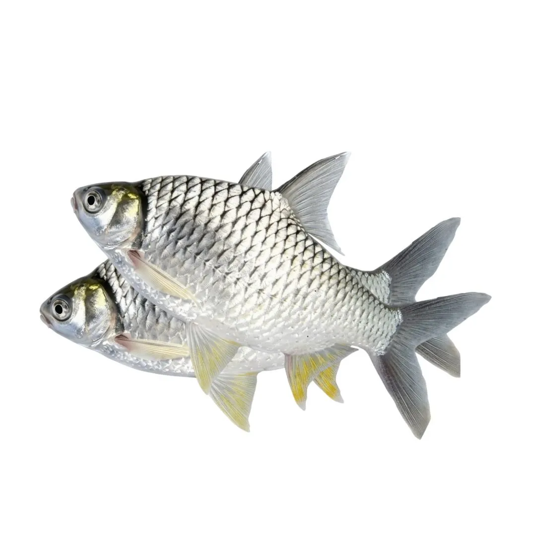 Shorputi Fish 1kg