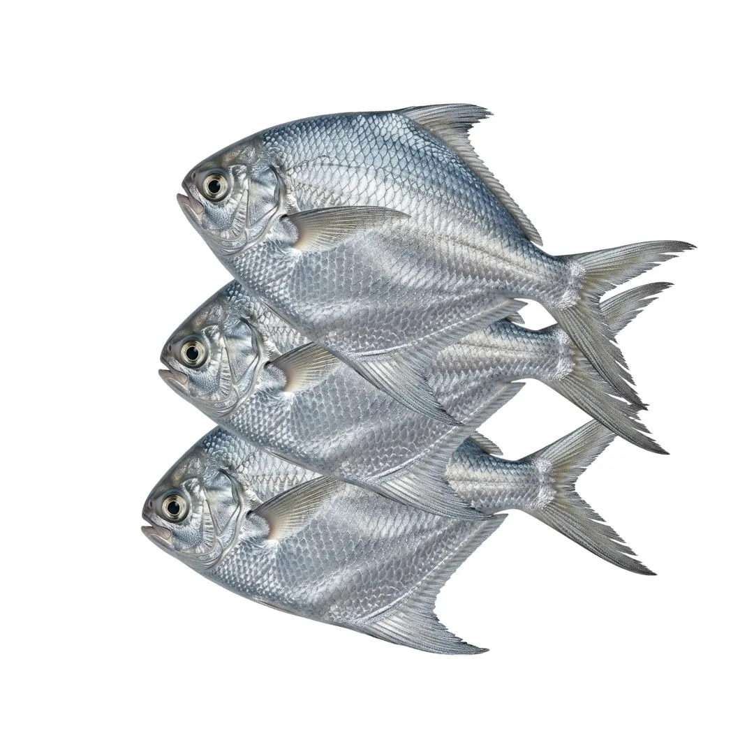 Rupchanda Fish 3/4 pcs