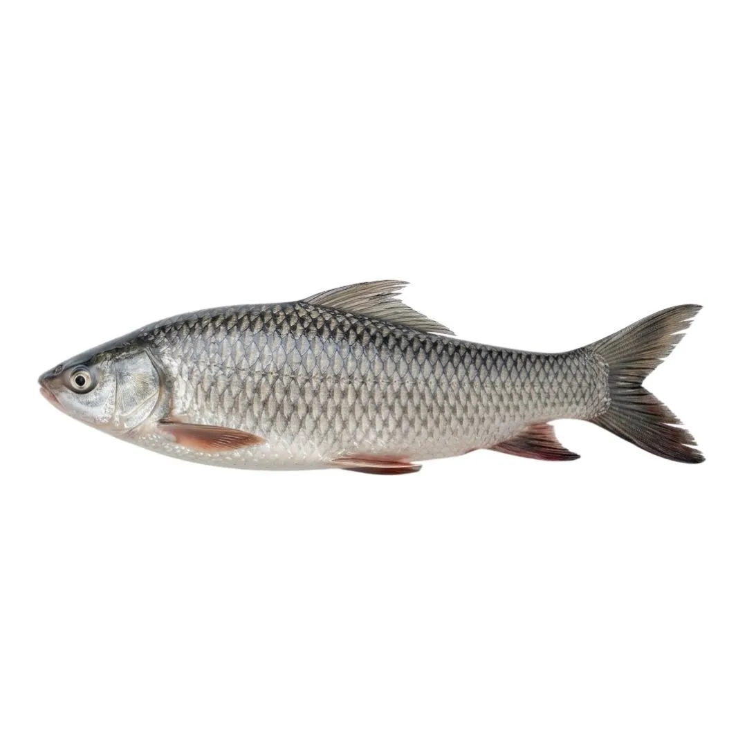 Mrigal Medium Fish 1kg