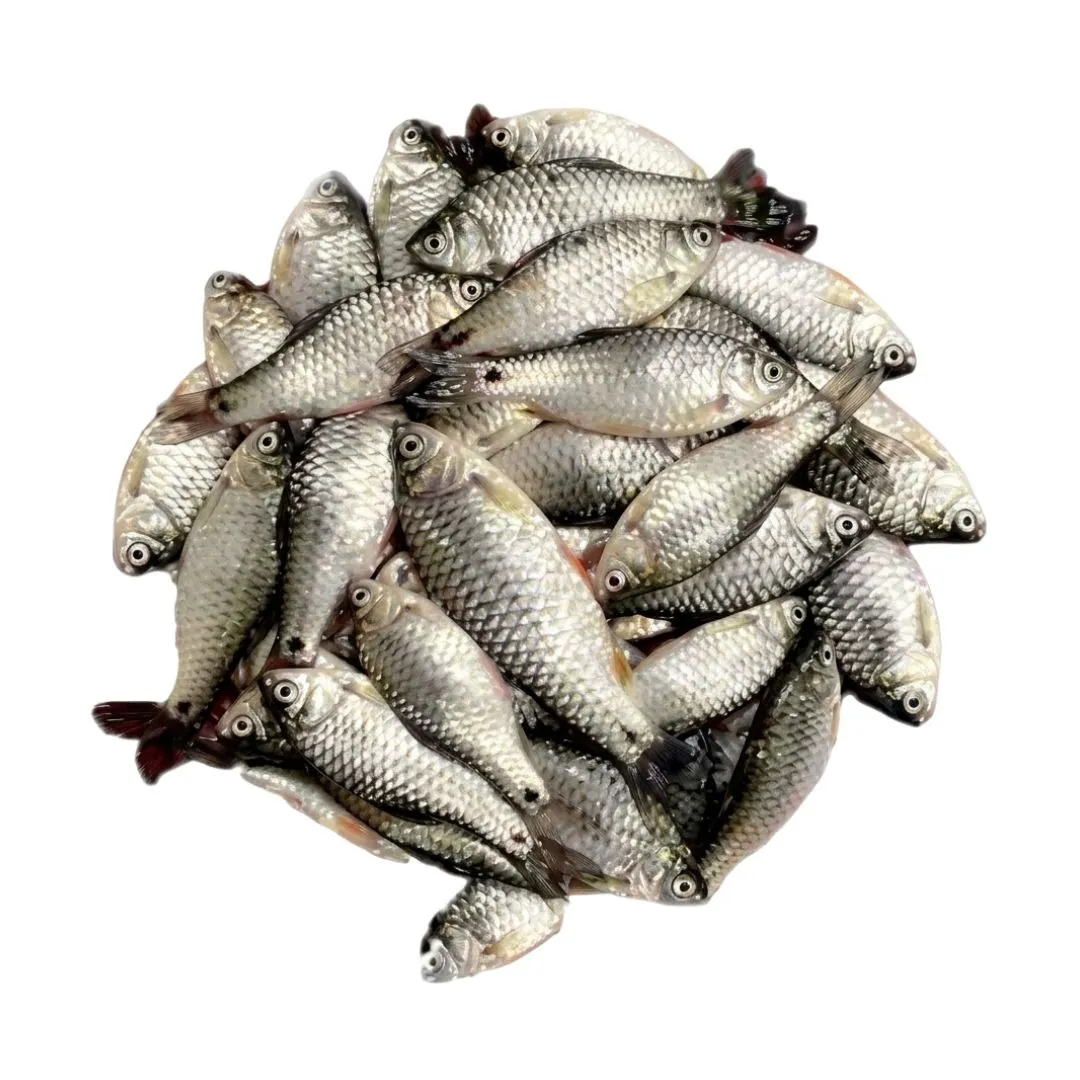 Deshi Puti Fish 1kg