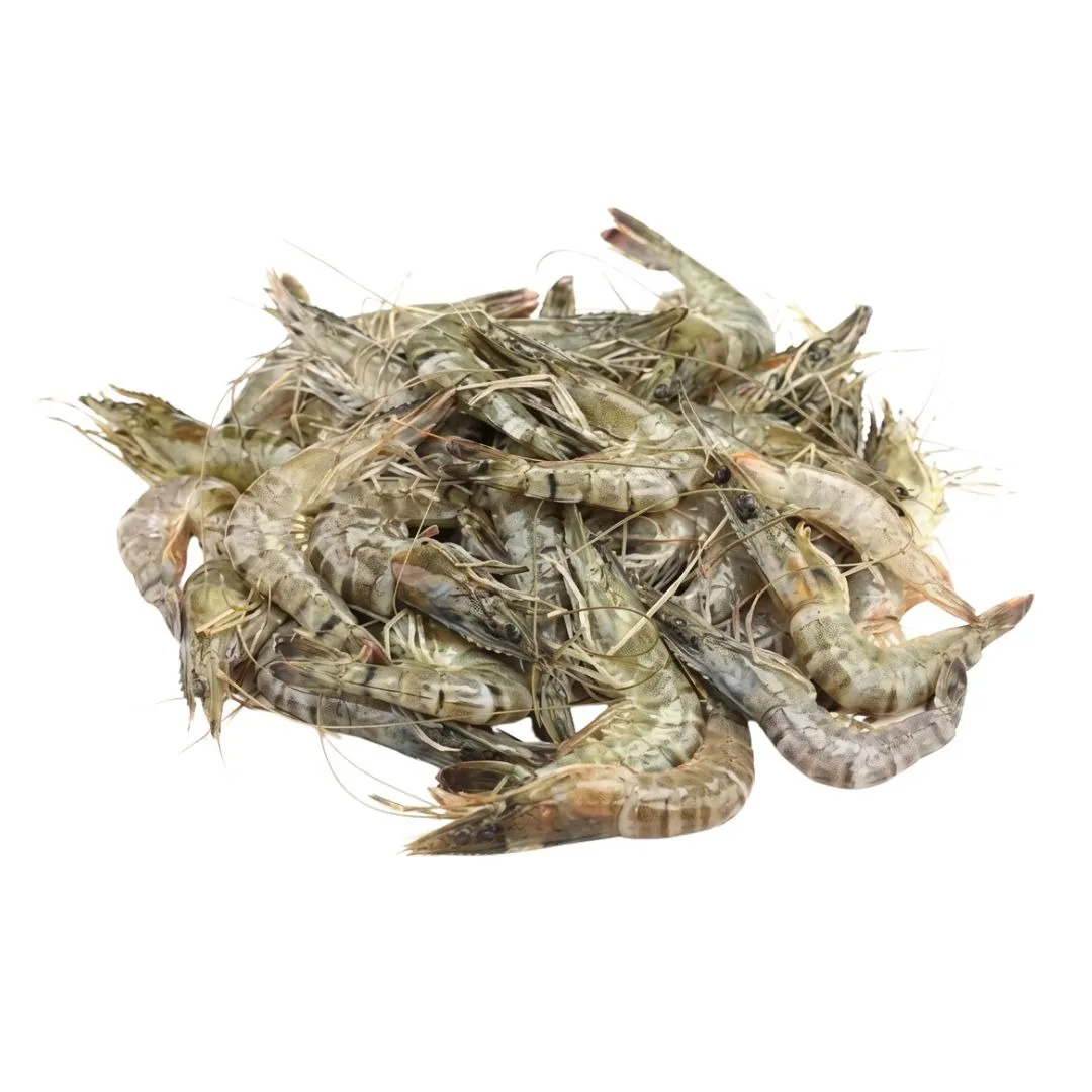 Bagda Small Chingri Fish 1kg