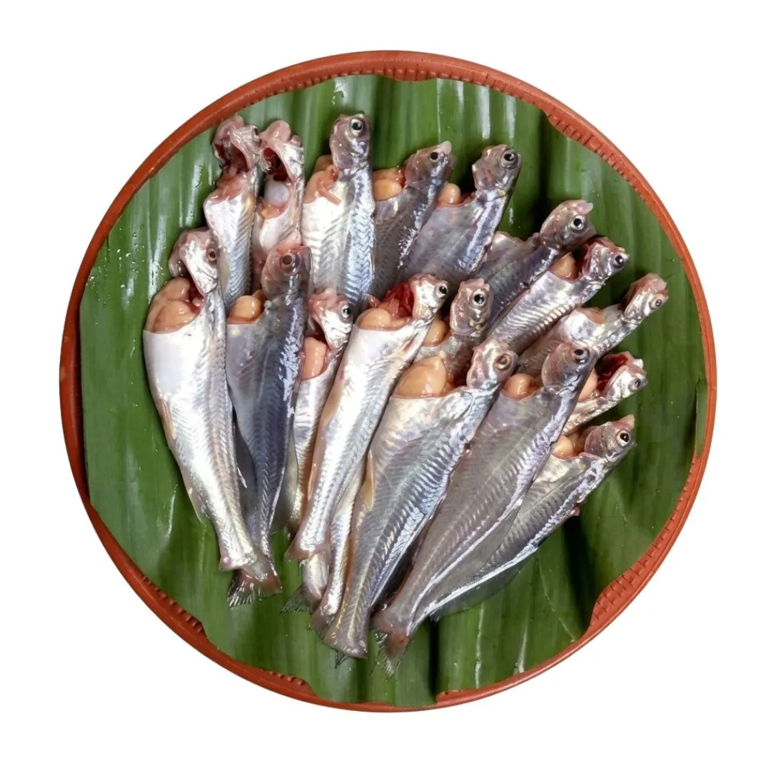 Gulsha Premium Fish 1kg