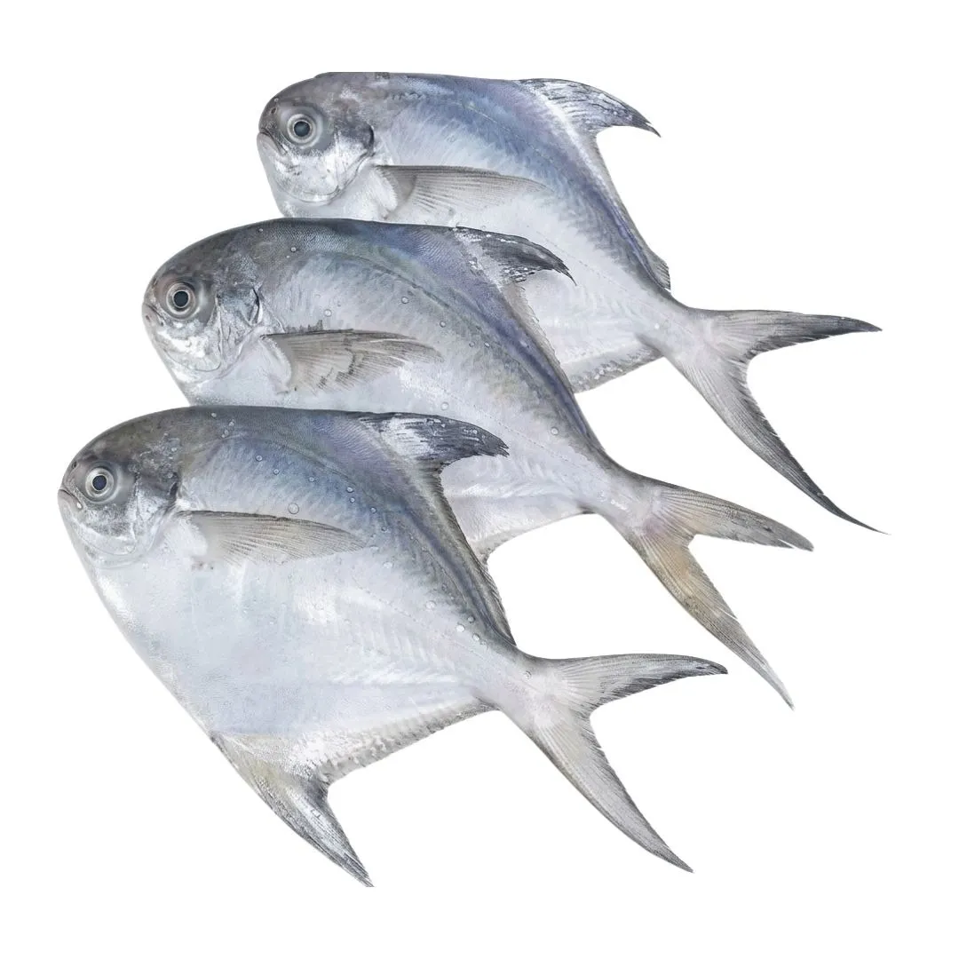 Rupchanda Fish Medium 10pcs
