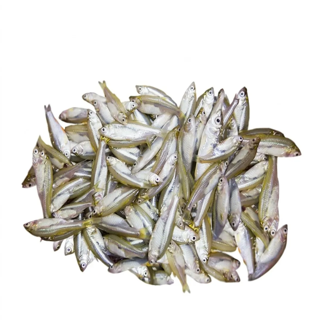 Deshi Mola Fish 1kg
