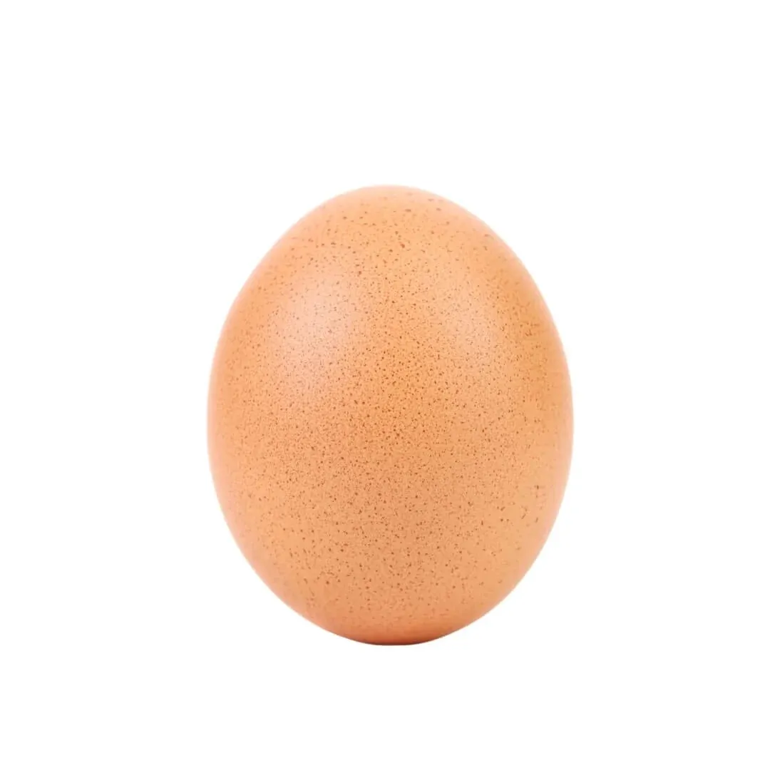 Brown Egg Per Piece