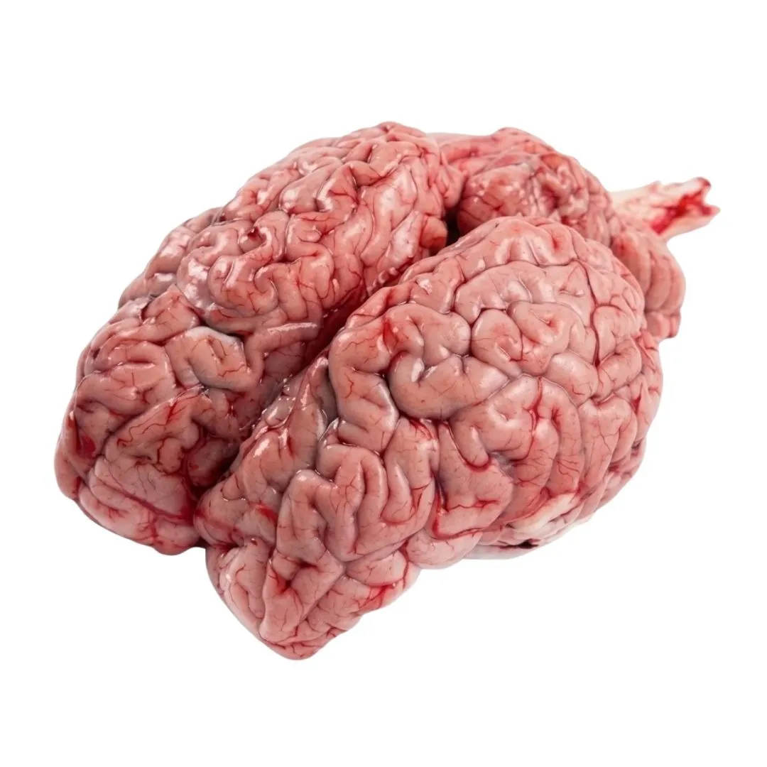 Beef Brain (Mogoz) 1pc