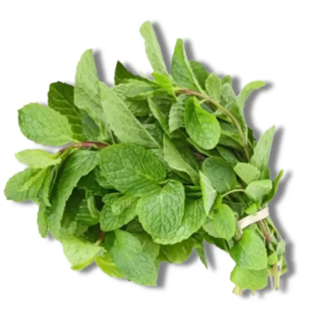 Mint Leaves (Pudina Pata) -KG