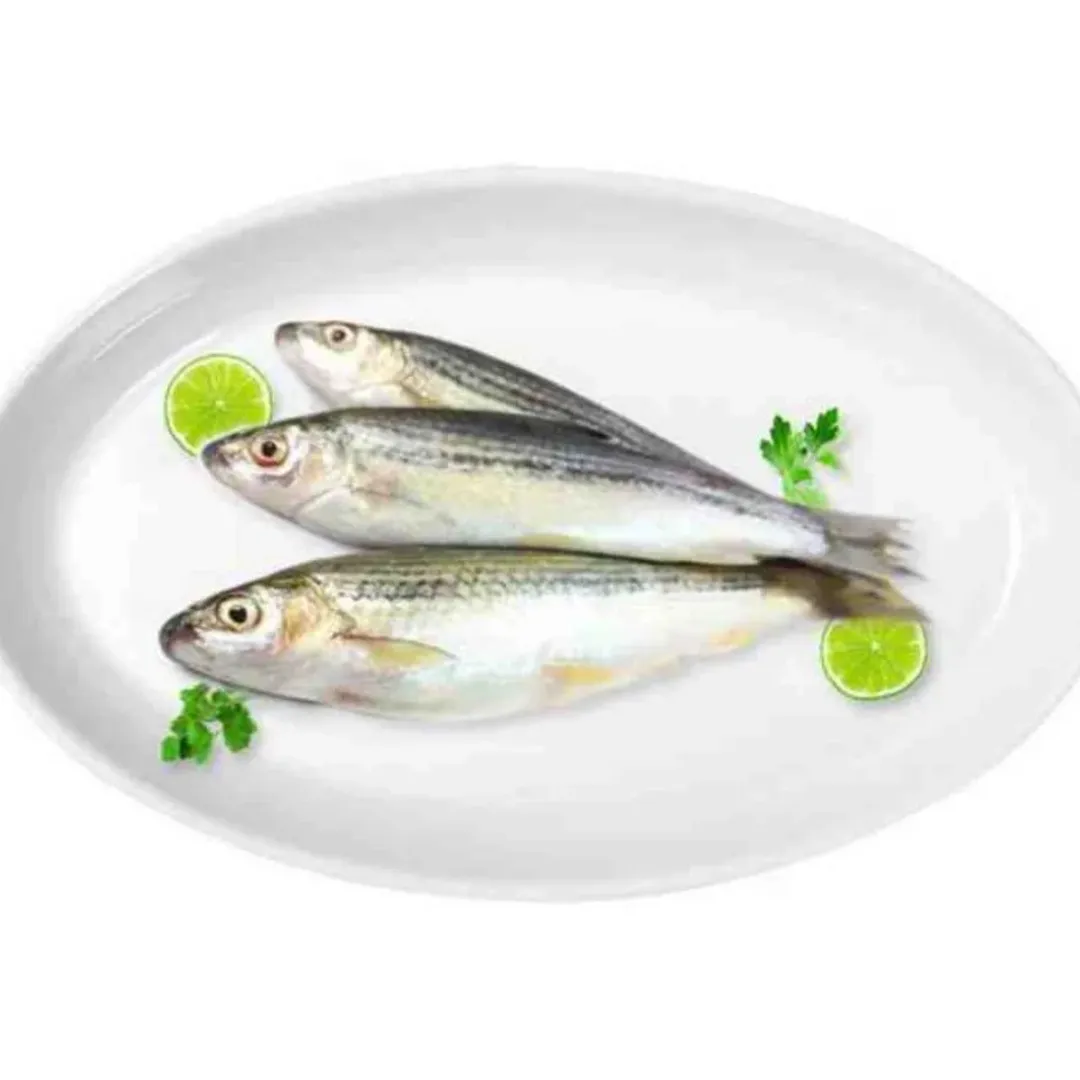 Tatkini Fish -kg