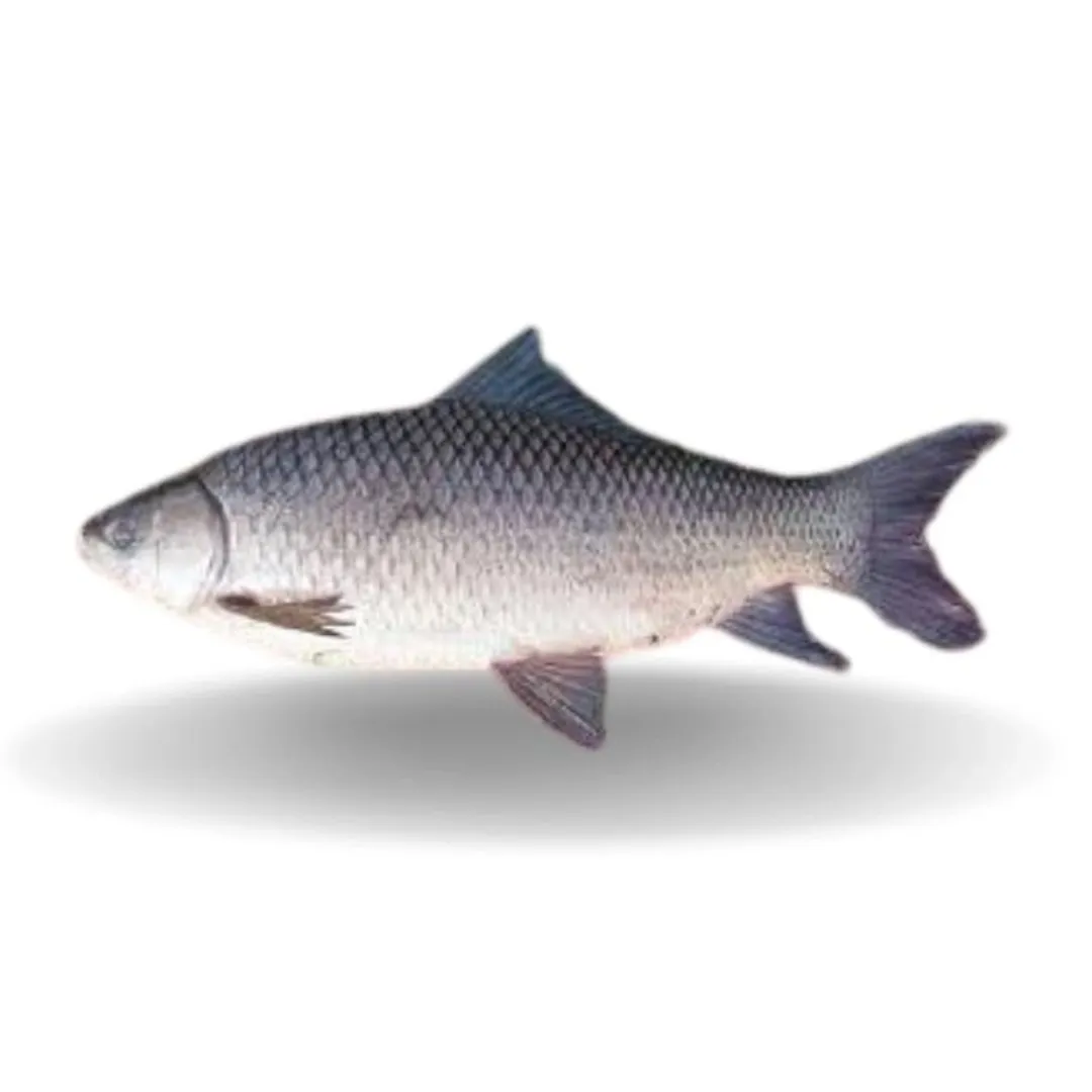 kalibaush - 1 kg+