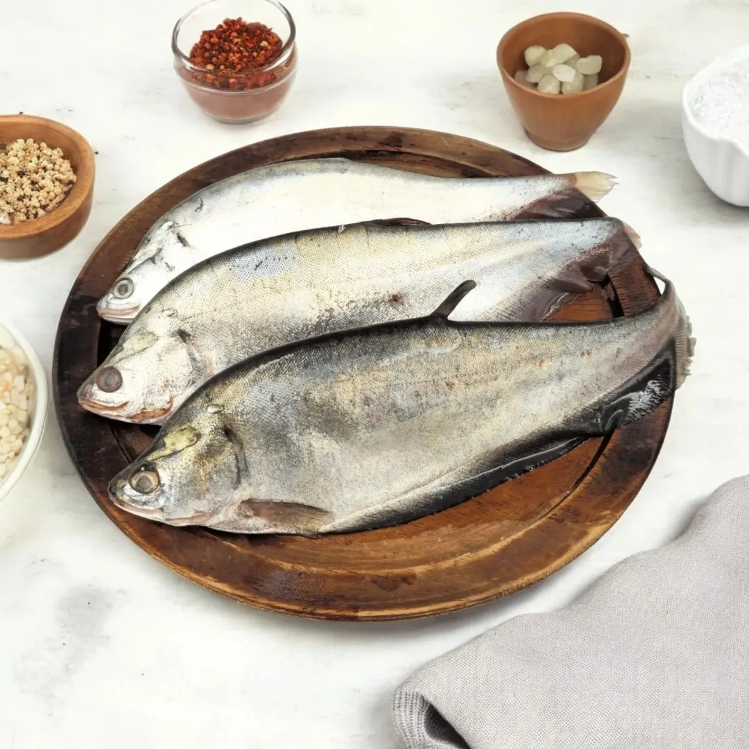 Foli Fish -kg