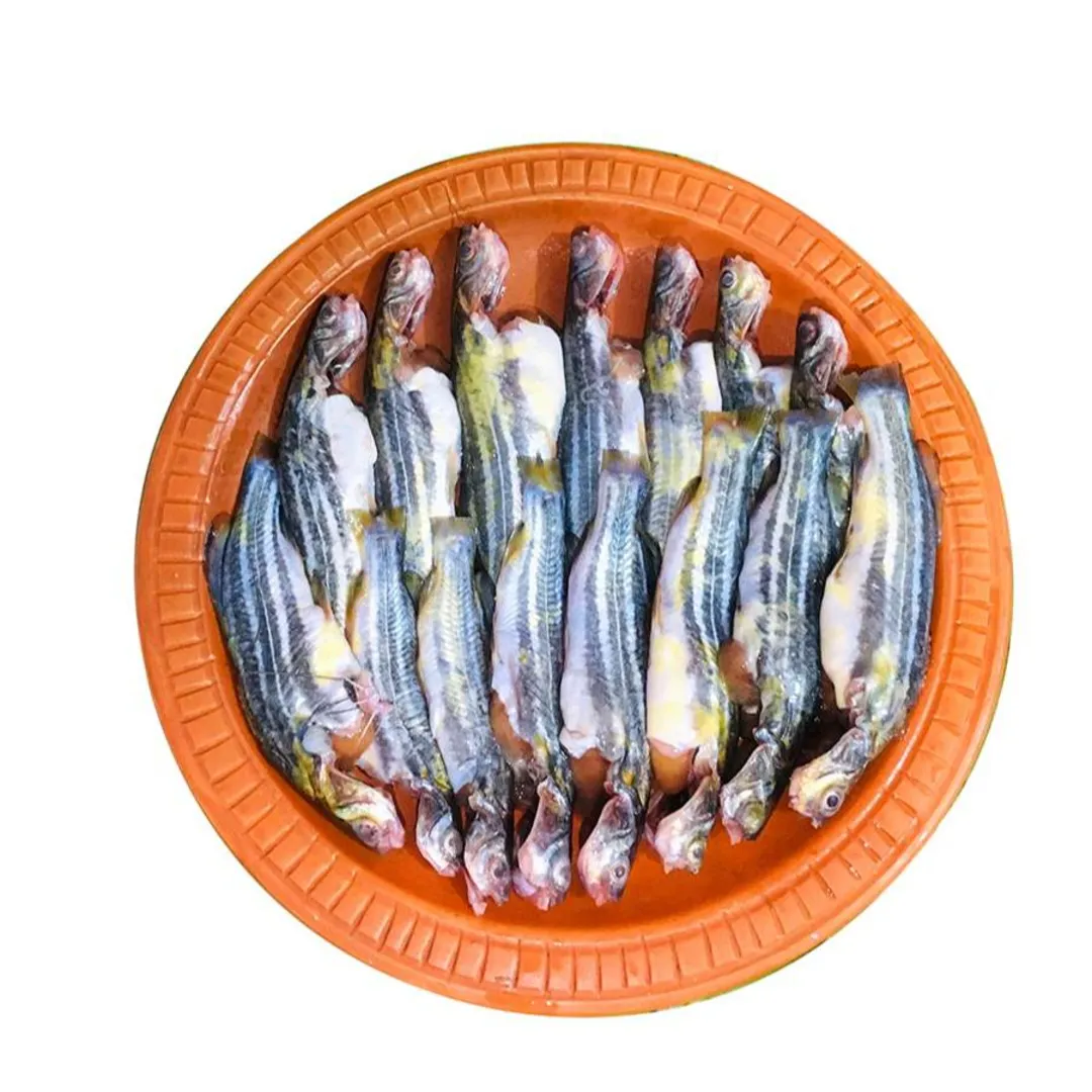 Deshi Tengra